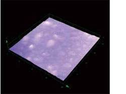 Polymer Film 3D image