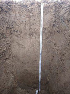 Post-pyrogenic soil