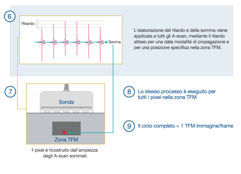 (6) Gli A-scan soggetti all'elaborazione del ritardo e della somma. (7) Ricostruzione del TFM.
