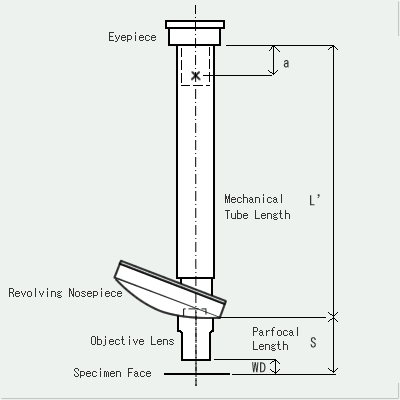 Parfocal Length/Mechanical Tube Length
