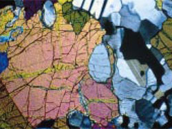 Polarized Observation of Peridotite (crossed polarizers)