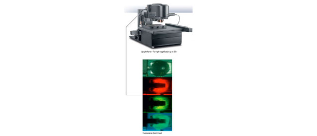 Tête de microscope avec zoom pour observation en fluorescence