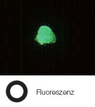 Fotolackrückstände auf einem Halbleiter-Wafer – Fluoreszenz