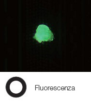 Residuo di fotoresist su un wafer semiconduttore -  Fluorescenza