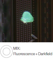 Photoresist residue on a semiconductor wafer - MIX