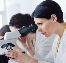 Clinical Microscopy Solutions