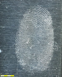 3 Impronta su metallo con illuminazione obliqua