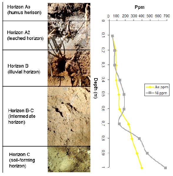 Figure 1: Nickel and As in soils through 1m depth profile