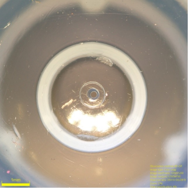 Misura di biberon mediante microscopio digitale per verificare la conformità alle specifiche 