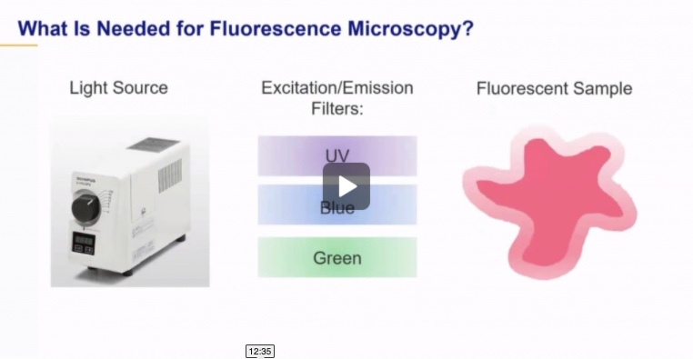 Fluorescence Microscopy and Its Applications in Industry
