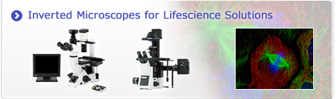 Inverted Microscopes