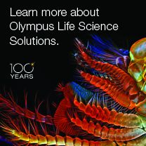 Olympus Life Science